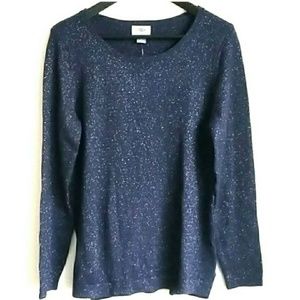 Women's Navy/Metallic Silver Sweater NWT